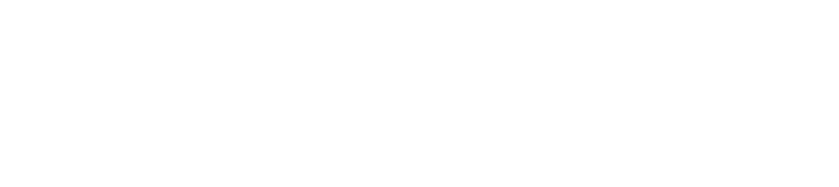 Steadybit